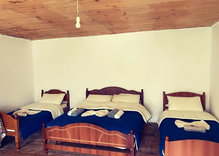 山林小屋 Silvester *